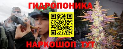 эйфоретик Сланцы
