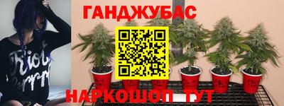 кокаин Славгород