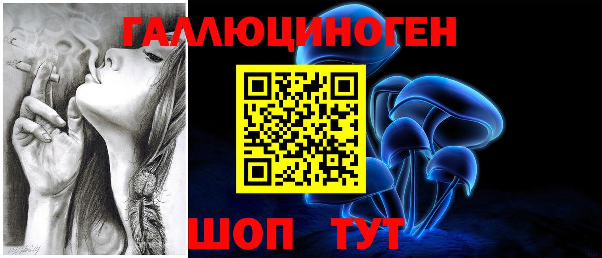 Приморско-Ахтарск  Галлюциногенные грибы мицелий  закладка  Вход с VPN 